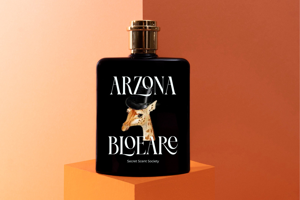 Blamore Modern Serif Display, a Serif Font by timelesstype.co (Photo 3 of 20)