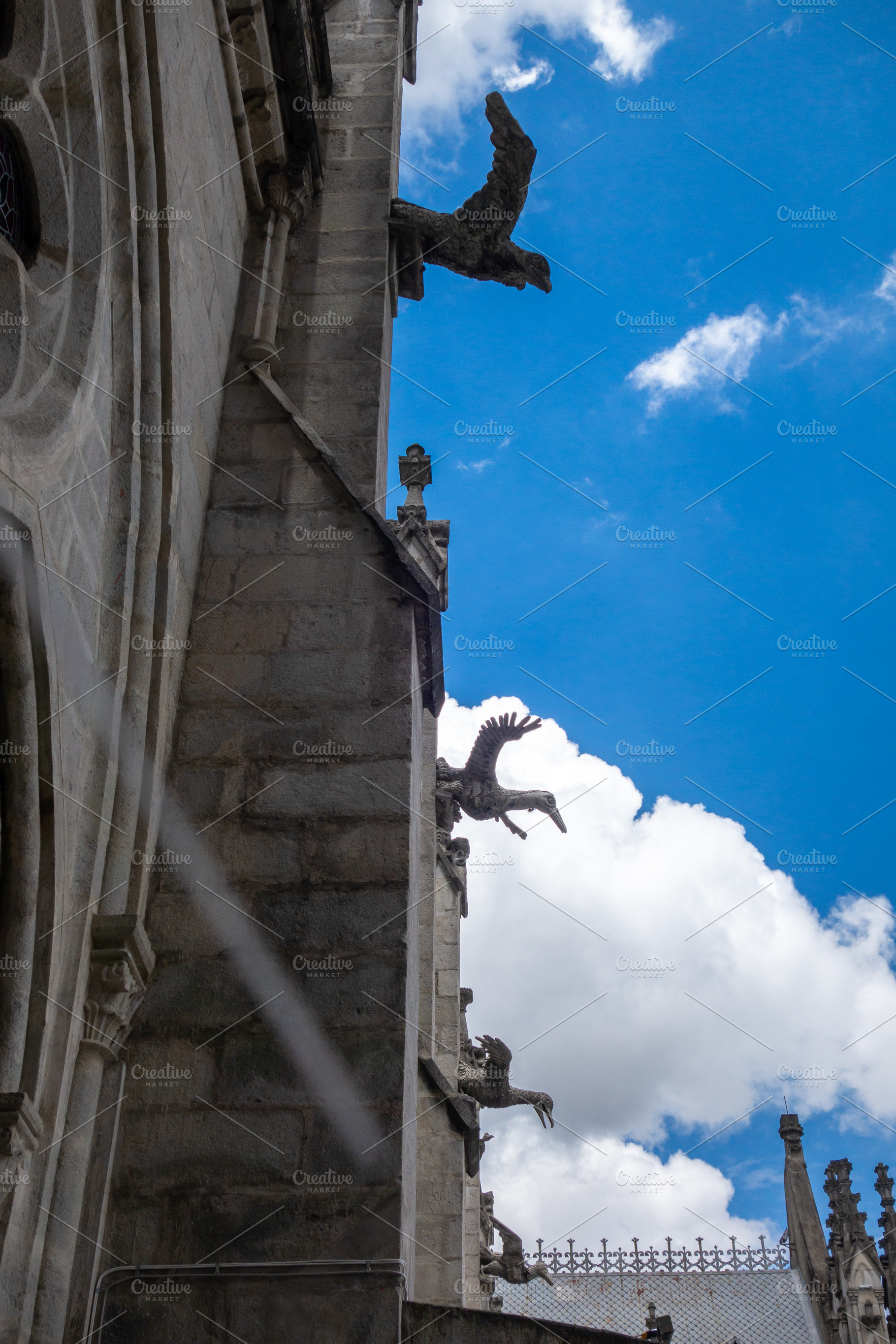 Gargoyle view from the Basilica of the National Vow in Quito, an Architecture Photo by GoodGoods