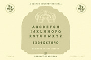 Tienda Display Font, a Serif Font by Cactus Country (Thumbnail 6 of 6)