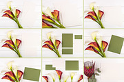 Set Mockups. FLOWERS, a Print Template by Mockups4you (Thumbnail 5 of 6)