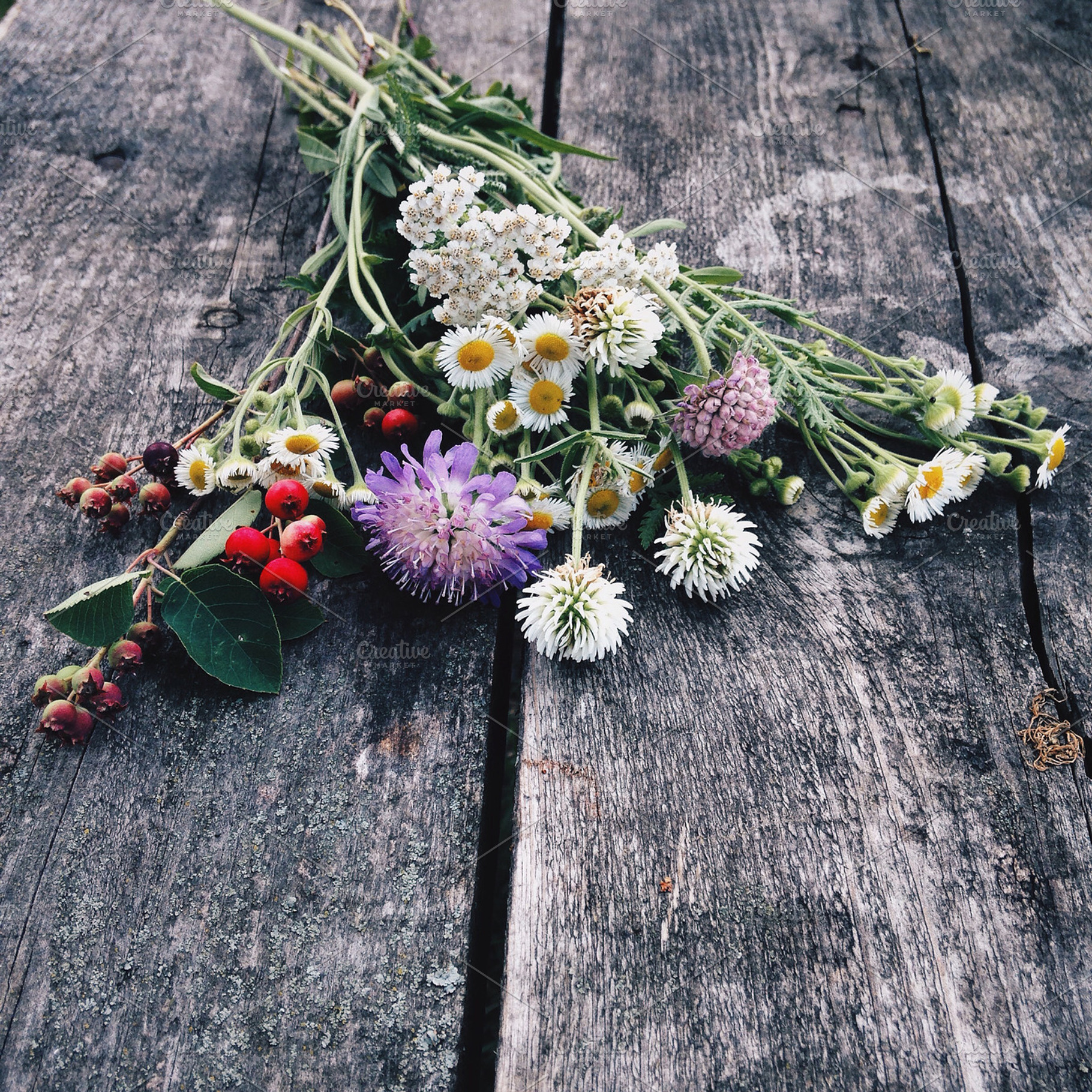 Flowers on a wooden surface, a Nature Photo by KULISTOV