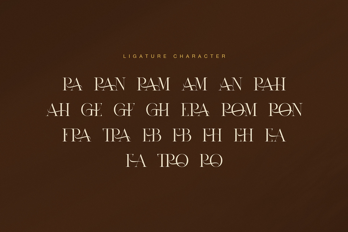 Brand Elegant Serif Font, a Serif Font by Graphicxell (Photo 8 of 8)