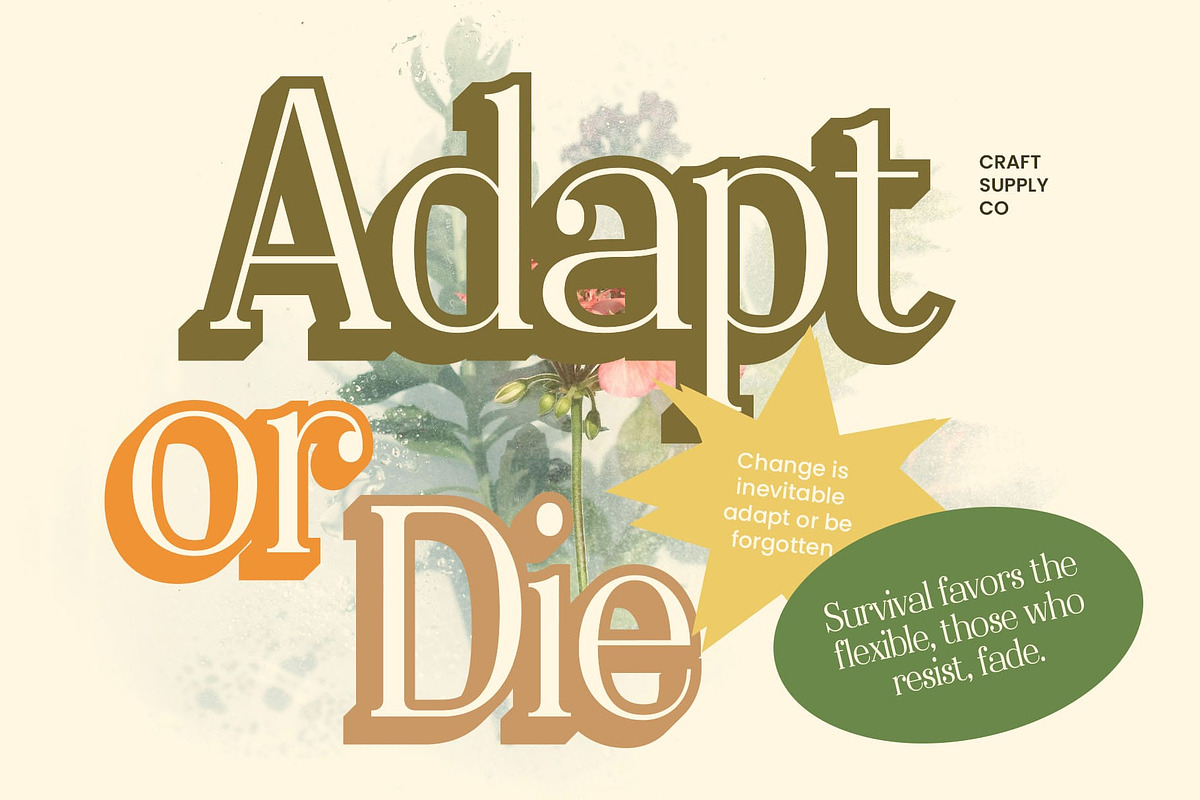 Delcy 3D, a Serif Font by Craft Supply Co. (Photo 4 of 8)