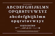 Morina Borick Elegant Ligature Serif, a Serif Font by Alfinart (Thumbnail 7 of 10)