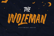 Vintage Font Bundle Super Sale, a Sans Serif Font by Anxiety Studio (Thumbnail 34 of 40)