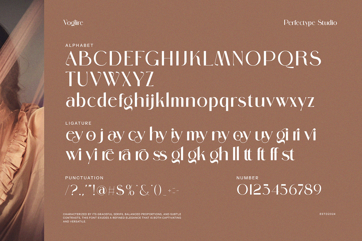Voglire Elegant Sans Serif Font, a Sans Serif Font by Perfectype (Photo 8 of 8)