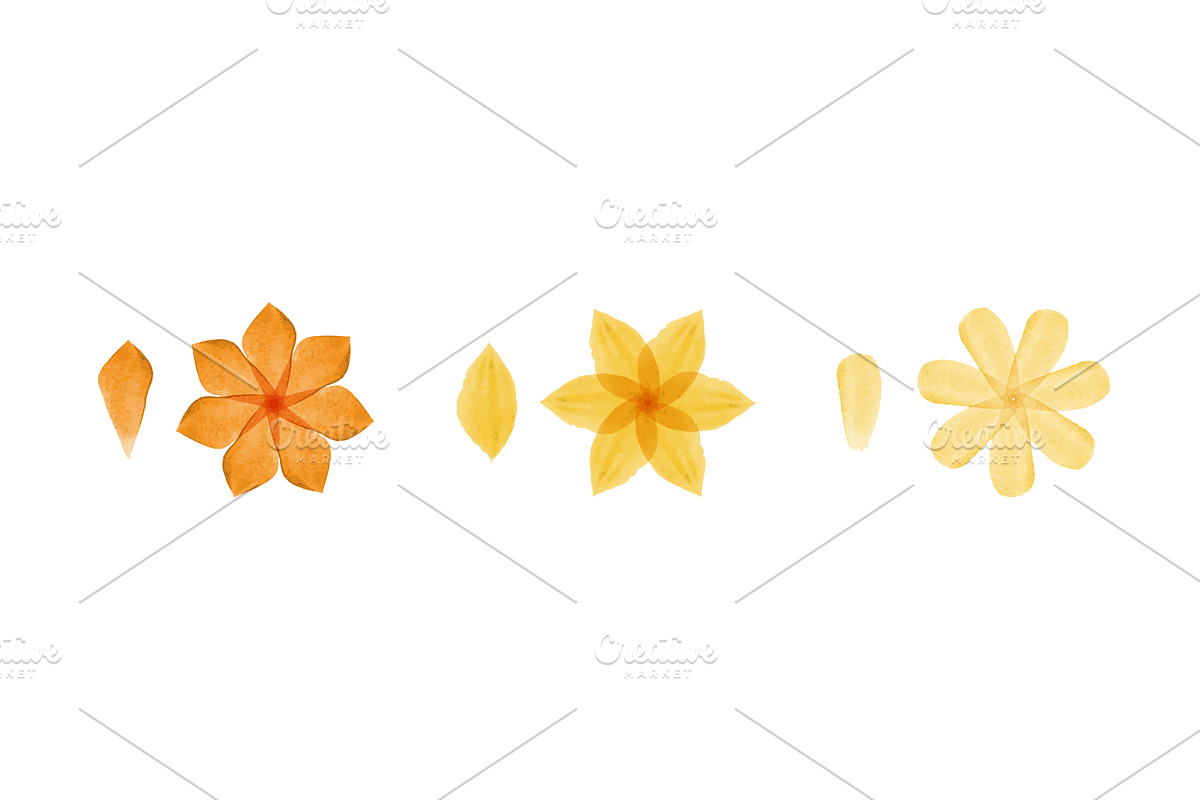 Watercolor orange yellow flowers and, an Illustration by okskukuruza