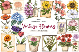 Vintage Flowers Clipart Seed Packet, an Illustration by CreationArt