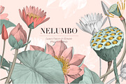 Nelumbo, Luxury Pattern & Motifs, a Pattern Graphic by TSTUDIO (Thumbnail 1 of 9)