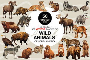 Animals of North America Vector Set, an Animal Illustration by Katerina Peres