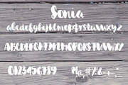 Sonia Font, a Script Font by SophieSaxo (Thumbnail 8 of 8)