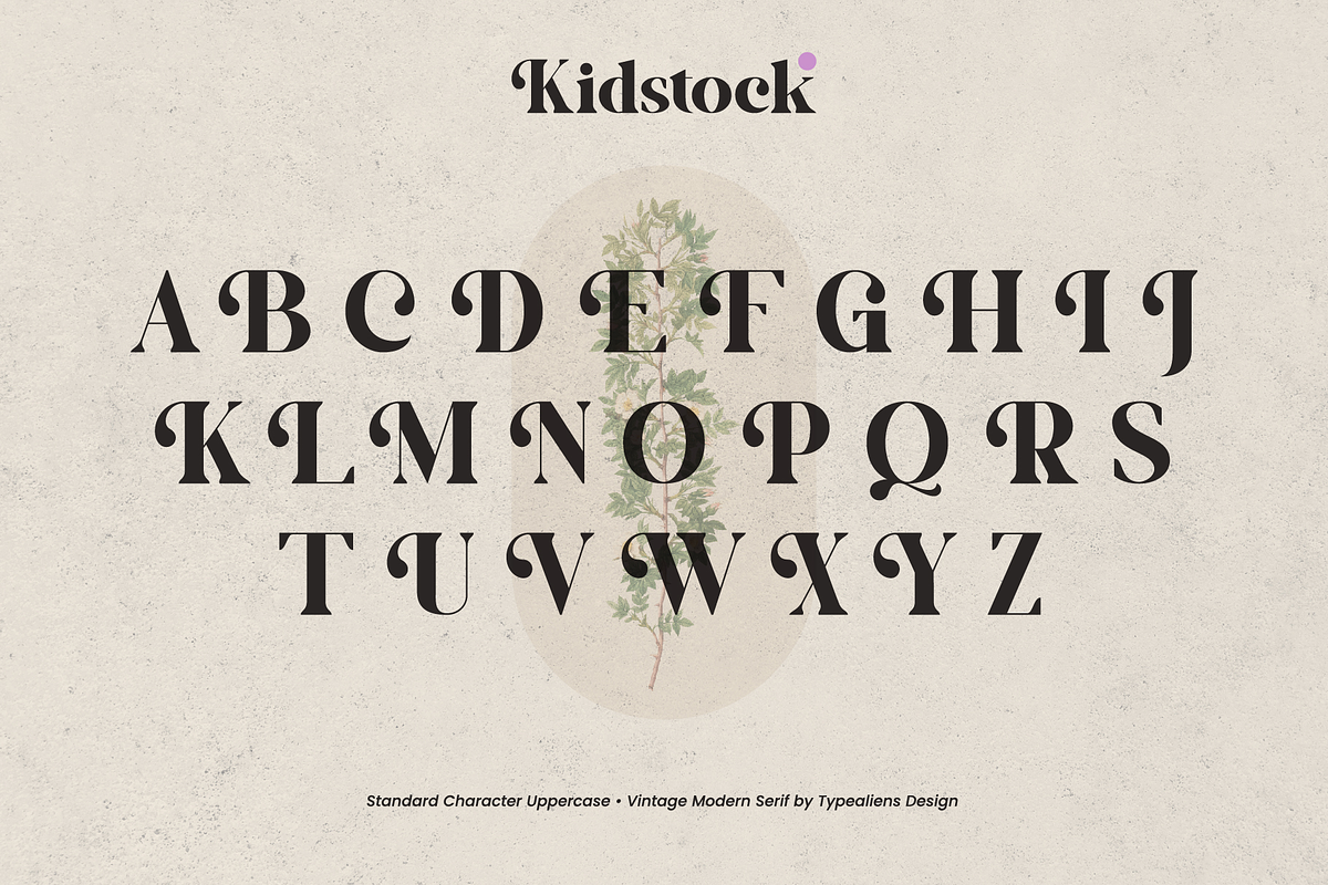 Kidstock, a Serif Font by ilhamtaro (Photo 6 of 11)