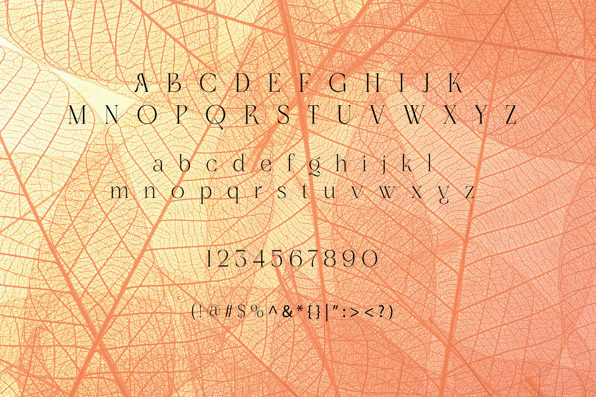 Lorvine | Elegant Modern Serif Typef, a Serif Font by Artdez (Photo 5 of 5)