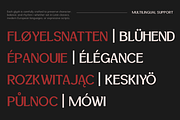 Hertloom Typeface, a Sans Serif Font by CuratedType Studio (Thumbnail 3 of 10)