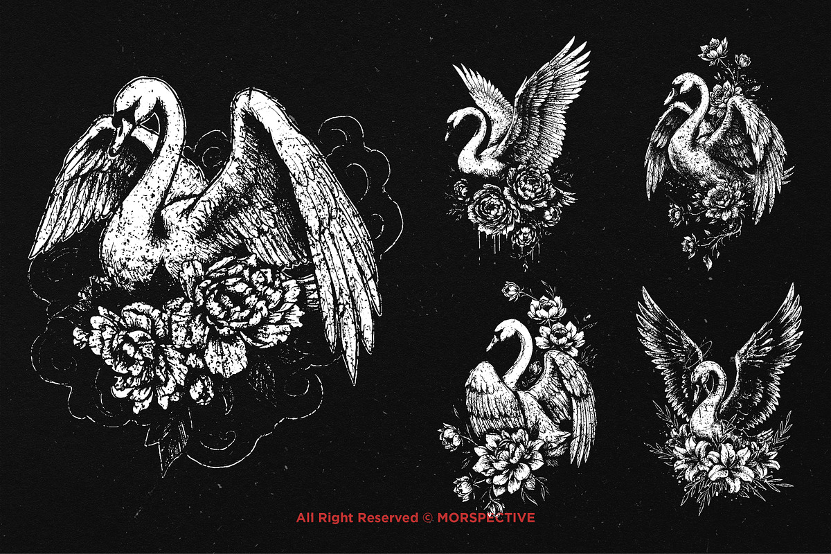 10 Bundle Dark Art Swan Floral, an Illustration by Morspective (Photo 3 of 7)