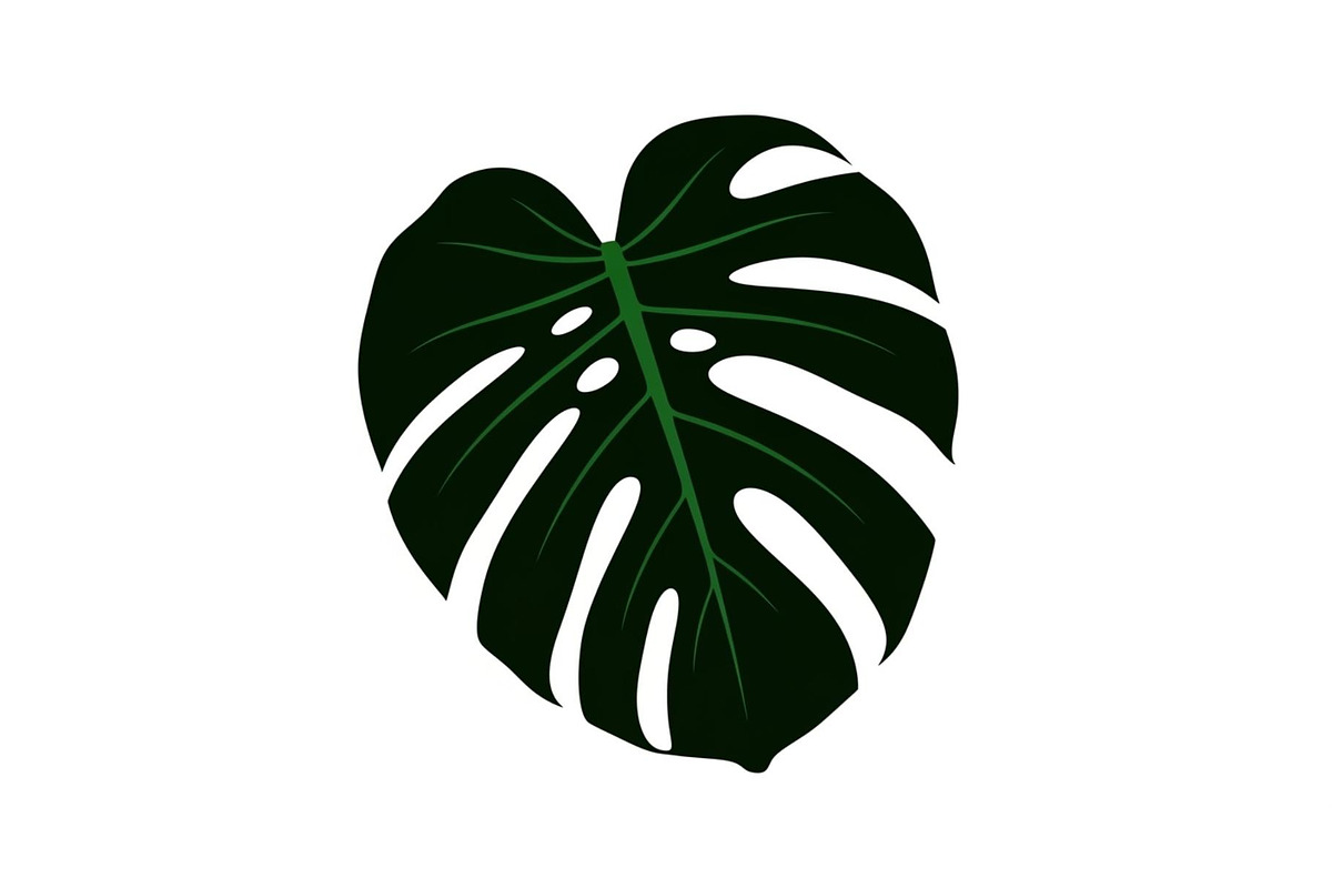 Monstera Leaf Silhouette Bundle, an Illustration by yasushie (Photo 10 of 31)