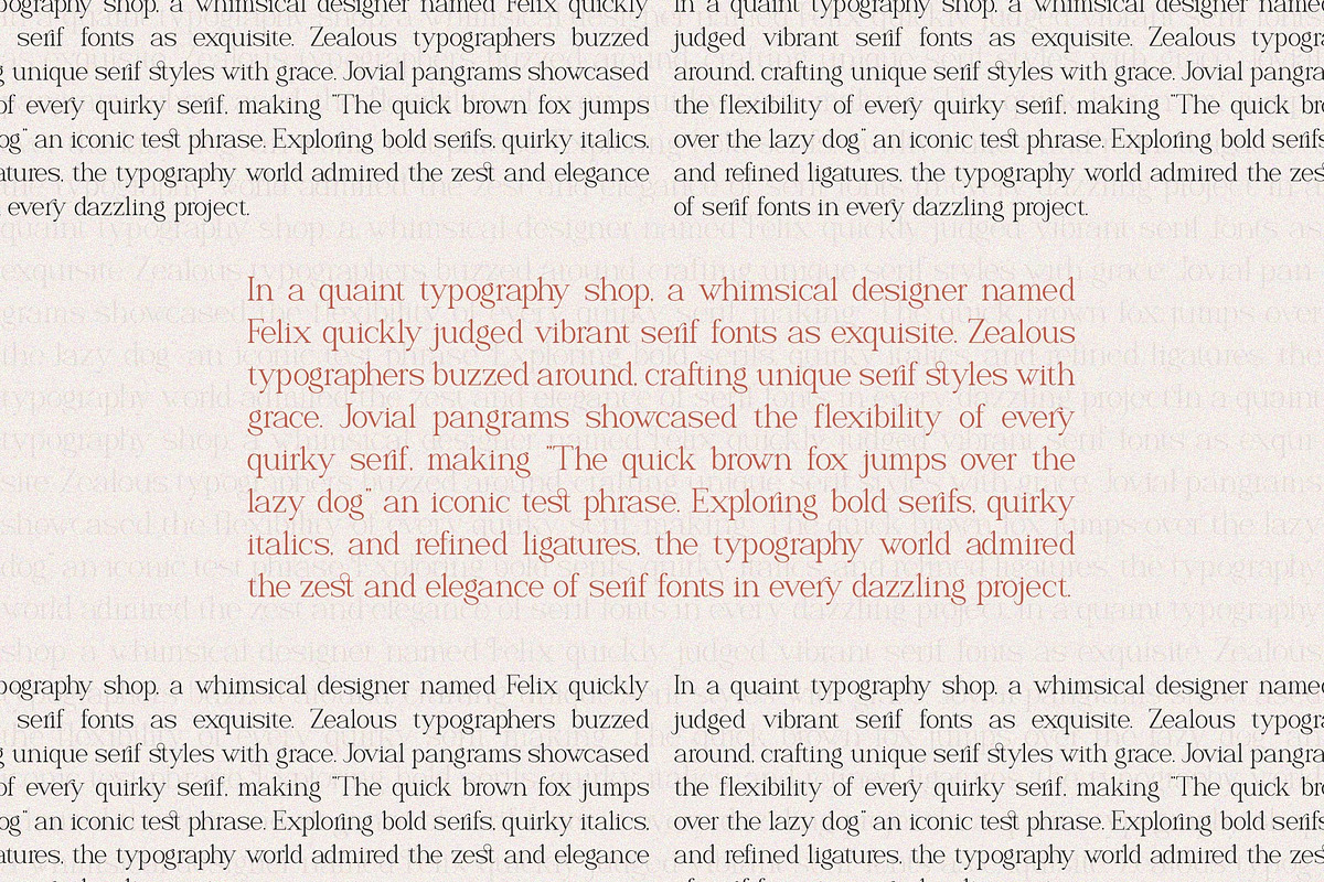 Naervik | Modern Serif, a Serif Font by Denustudios (Photo 9 of 13)