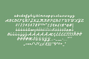 Fox Hollow Font Duo, a Script Font by Midnight Grim (Thumbnail 4 of 5)