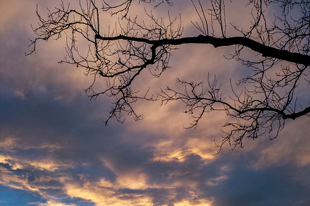 Cloudy sunset containing clouds, tree, and sunset