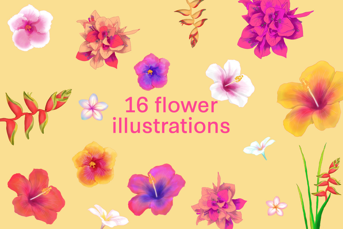 Colorful Tropical Summer Design Set, an Animal Illustration by Def Studio (Photo 2 of 7)