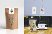 Watercolor Herbs Clipart, a Decorative Illustration by MuzaArtStudio (Thumbnail 6 of 7)