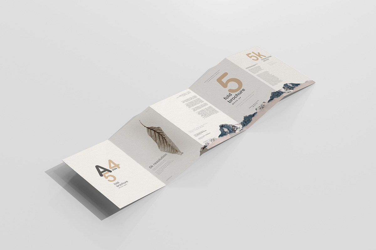 A4 Size Five Fold Brochure Mockup, a Print Template by pmvch (Photo 3 of 20)