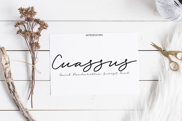Cuassus | Script font preview 8