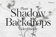 Plant Shadow Backdrops Video Bundle, a Mockup by rebrandy (Thumbnail 1 of 24)