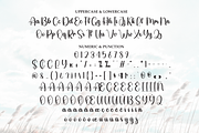Sunday | Script Font, a Handwritten Font by Scratchones (Thumbnail 7 of 8)