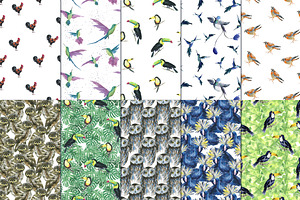 Cute Bird Pattern