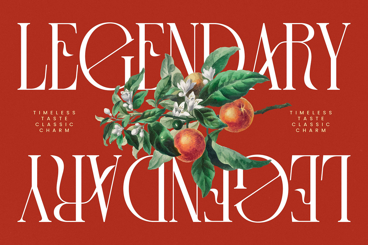Leodarck New Modern Display Serif, a Serif Font by timelesstype.co (Photo 11 of 20)
