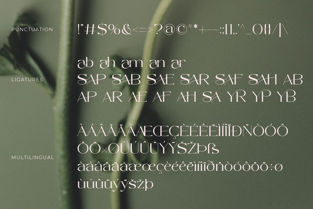Sapyre - New Modern Elegant Serif, a Serif Font by Muflieart (Photo 9 of 10)