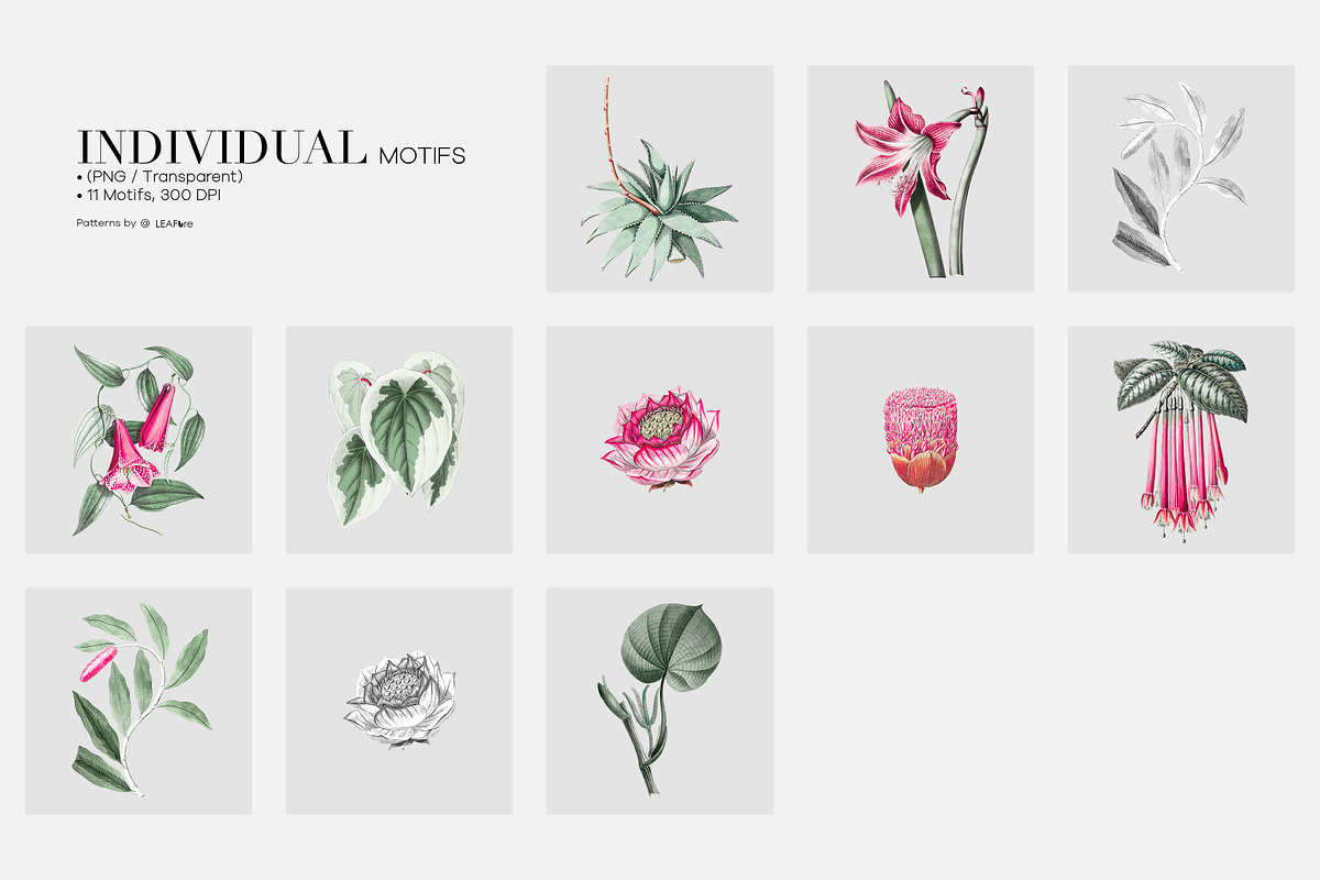 Meloura Luxury Patterns And Elements, a Pattern Graphic by LEAFure (Photo 5 of 9)