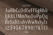 Bitto Club | Modern Sans Serif, a Slab Serif Font by Denustudios (Thumbnail 11 of 14)