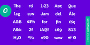 Knedle, a Sans Serif Font by Sudetype (Thumbnail 5 of 10)
