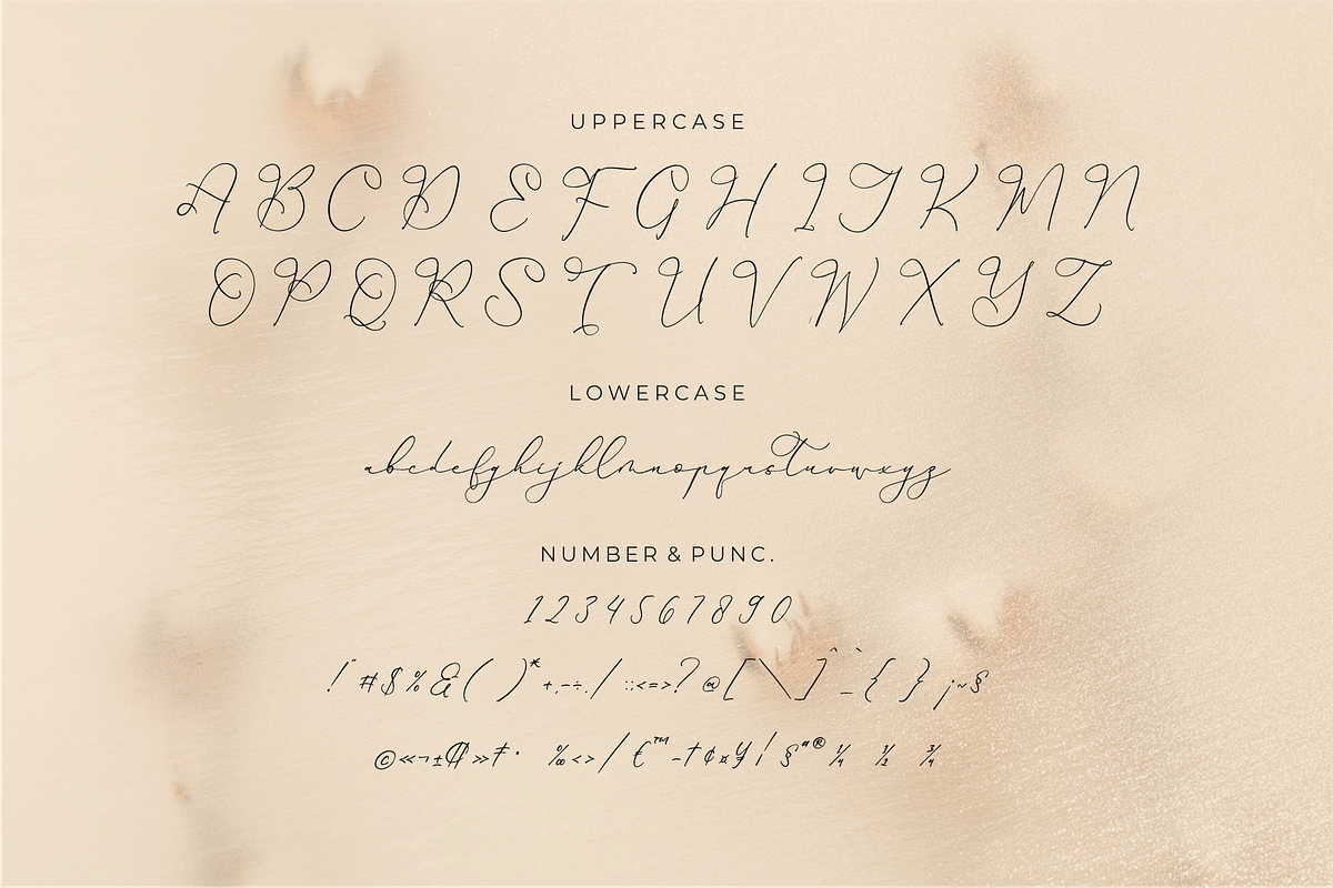 Hardyela Sandert Ballpoint Signature, a Script Font by Storytype Studio (Photo 13 of 15)