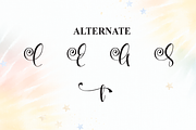 Clipart | Script Font, a Handwritten Font by Scratchones (Thumbnail 8 of 9)