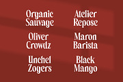 Belagu Modern Display Serif Font, a Serif Font by timelesstype.co (Thumbnail 12 of 20)