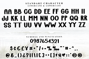 Summertime, a Script Font by FreshTypeINK (Thumbnail 3 of 8)