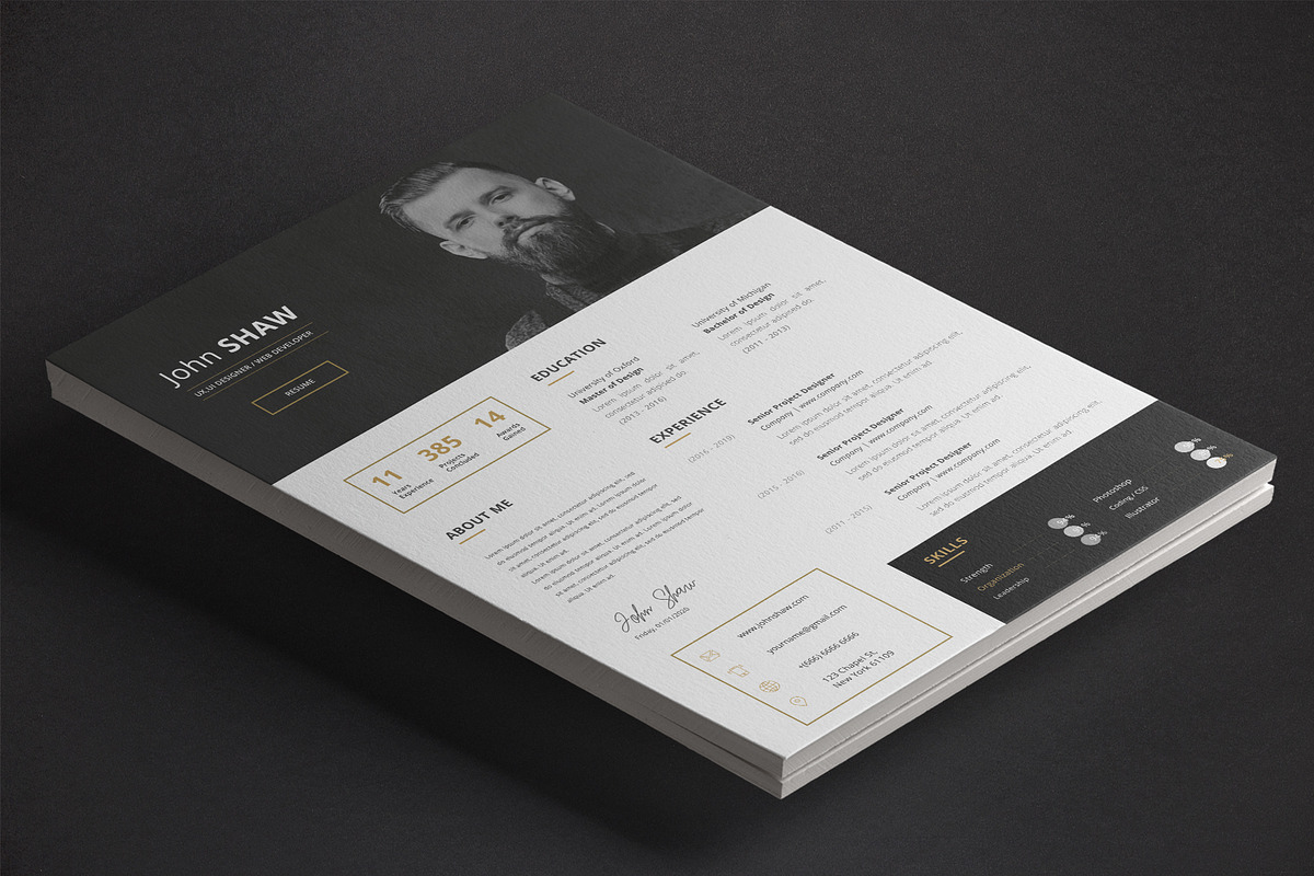 Gemini Resume Template, a Resume Template by Nina Shaw (Photo 4 of 9)