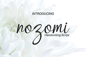 Nozomi | Handwriting Script Font