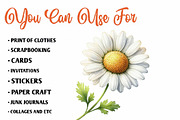 Wildflower Meadow Clipart Set, a Seasonal Illustration by CreationArt (Thumbnail 5 of 7)