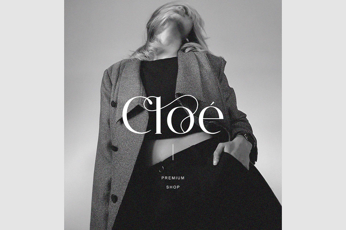 Modern Ligature Font, a Serif Font by elvinova (Photo 3 of 14)