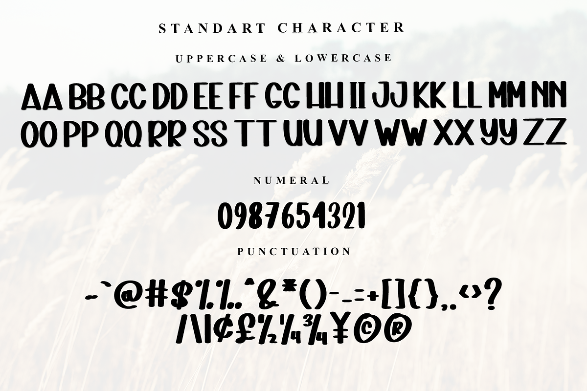 Baby Winter, a Serif Font by InermediaSTUDIO (Photo 4 of 7)
