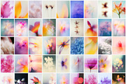 PETAL HAZE: Floral-Blur Backgrounds, a Background Graphic by alonahaidash (Thumbnail 9 of 12)