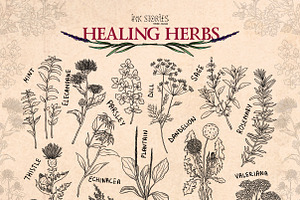 Healing Herbs Botanical Bundle