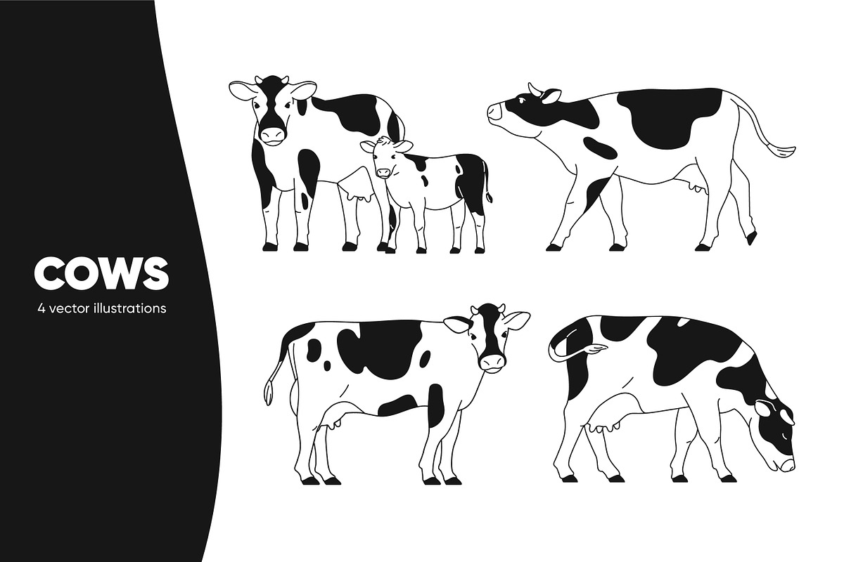 Dairy milk cows & calf, line art set, an Animal Illustration by Good Studio (Photo 1 of 7)