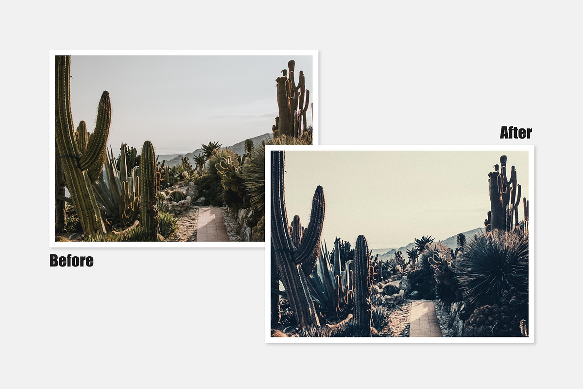 Antique Dream Lightroom Presets preview 2