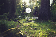 2Simple Nature Coming Soon Template, a Landing Page Template by CapitalTemplate (Thumbnail 3 of 5)