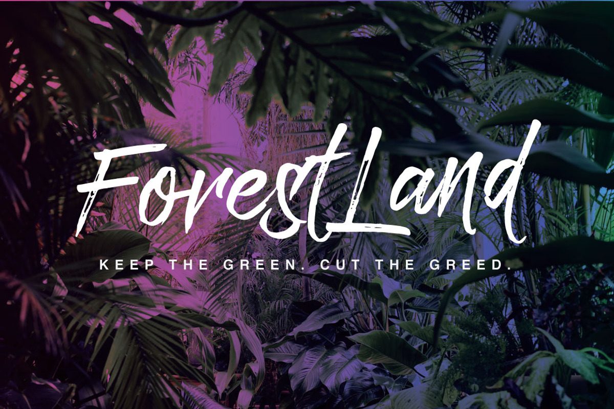 Paradise Typeface preview 2